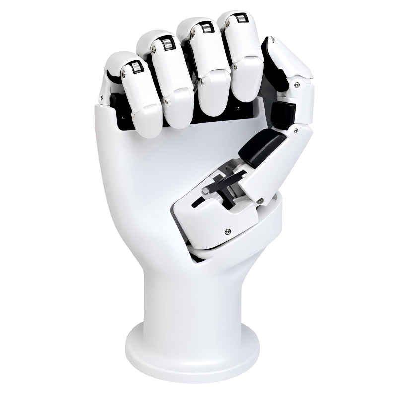 AmazingHand 6 Dof Robotic Hand - Science Robotics review and price