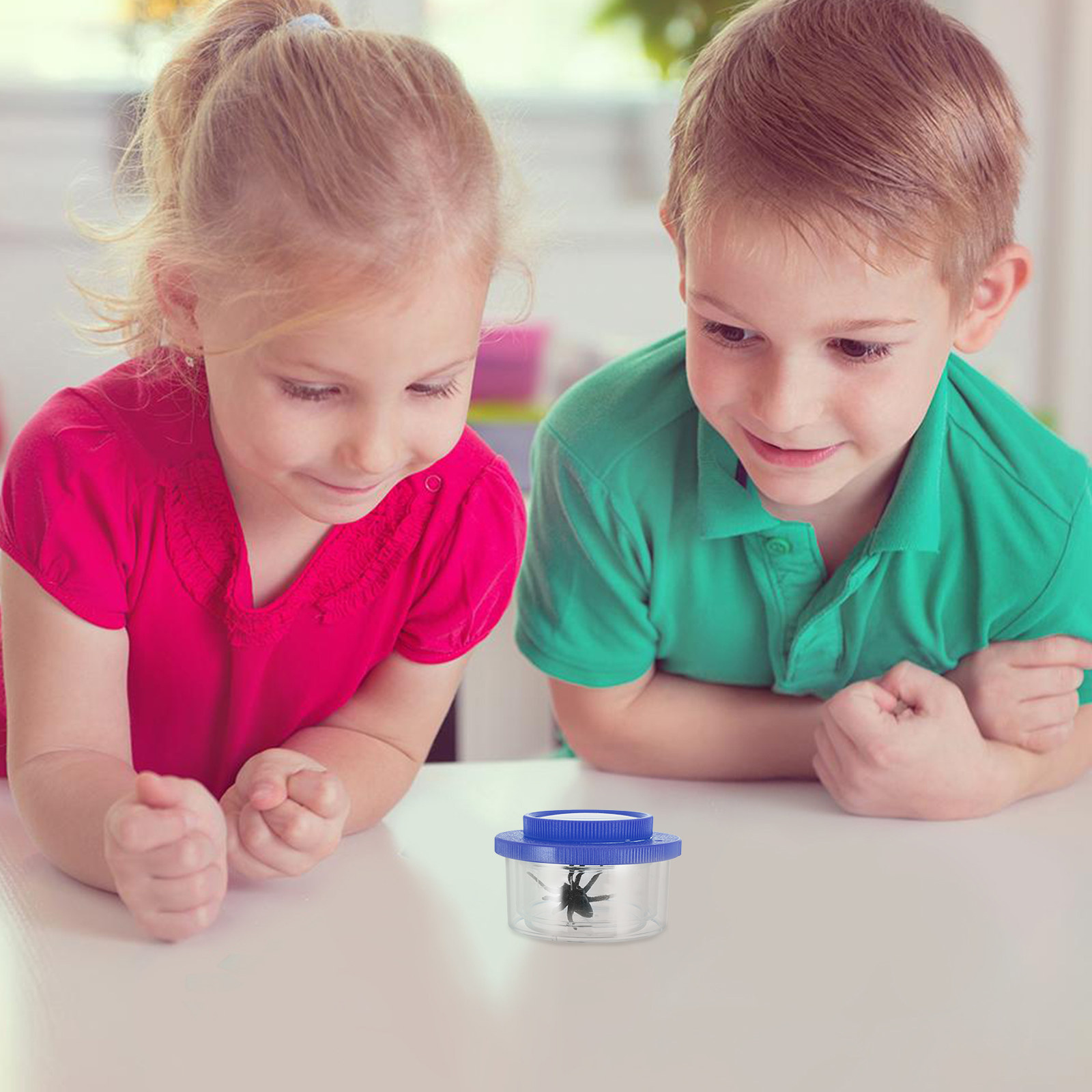 Three-Section Insect Observati - Science Toy review and price
