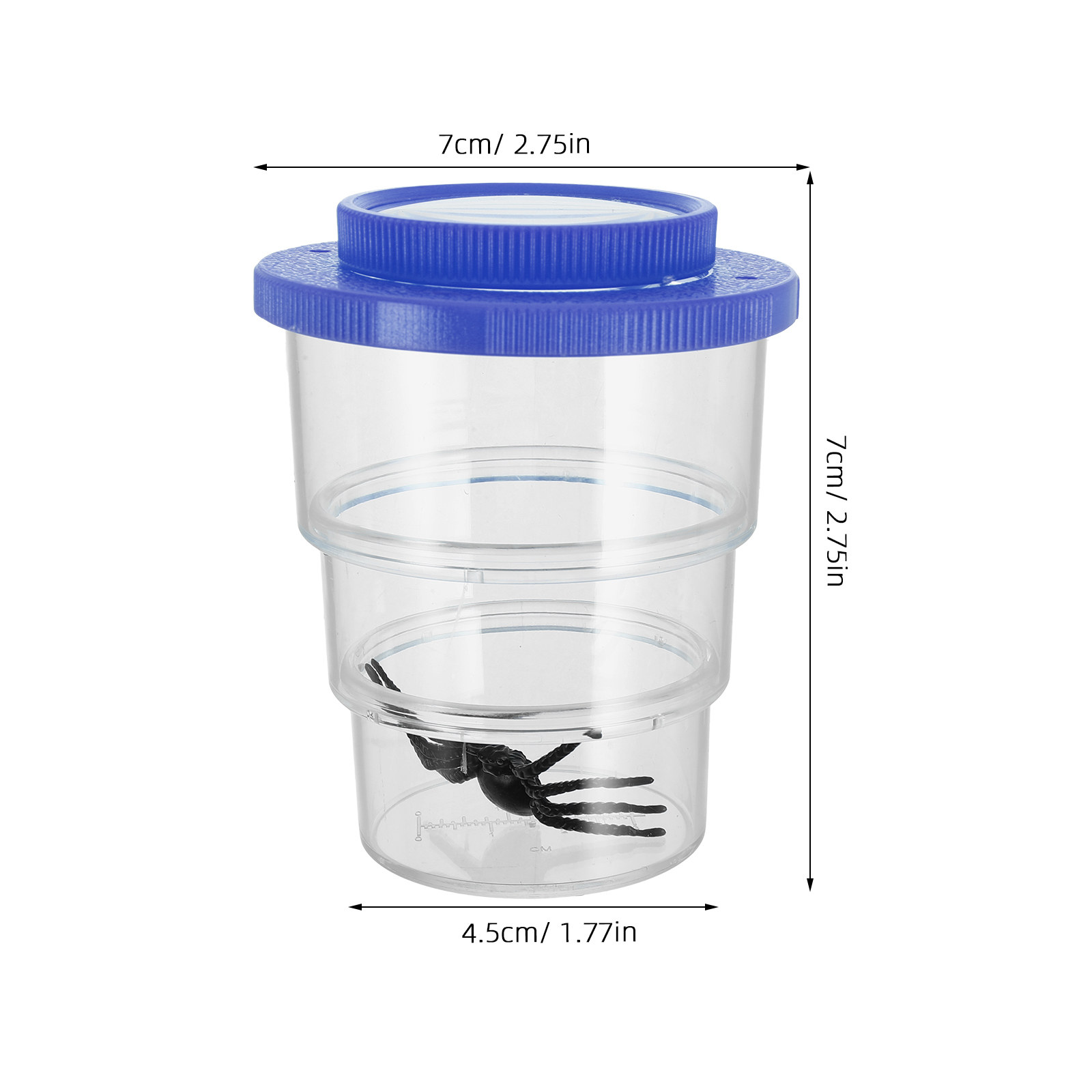 Three-Section Insect Observati - Science Toy review and price