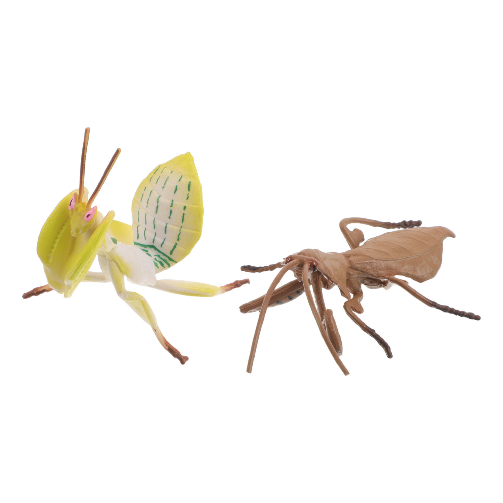 Realistic Praying Mantis Model - Science Toy review and price
