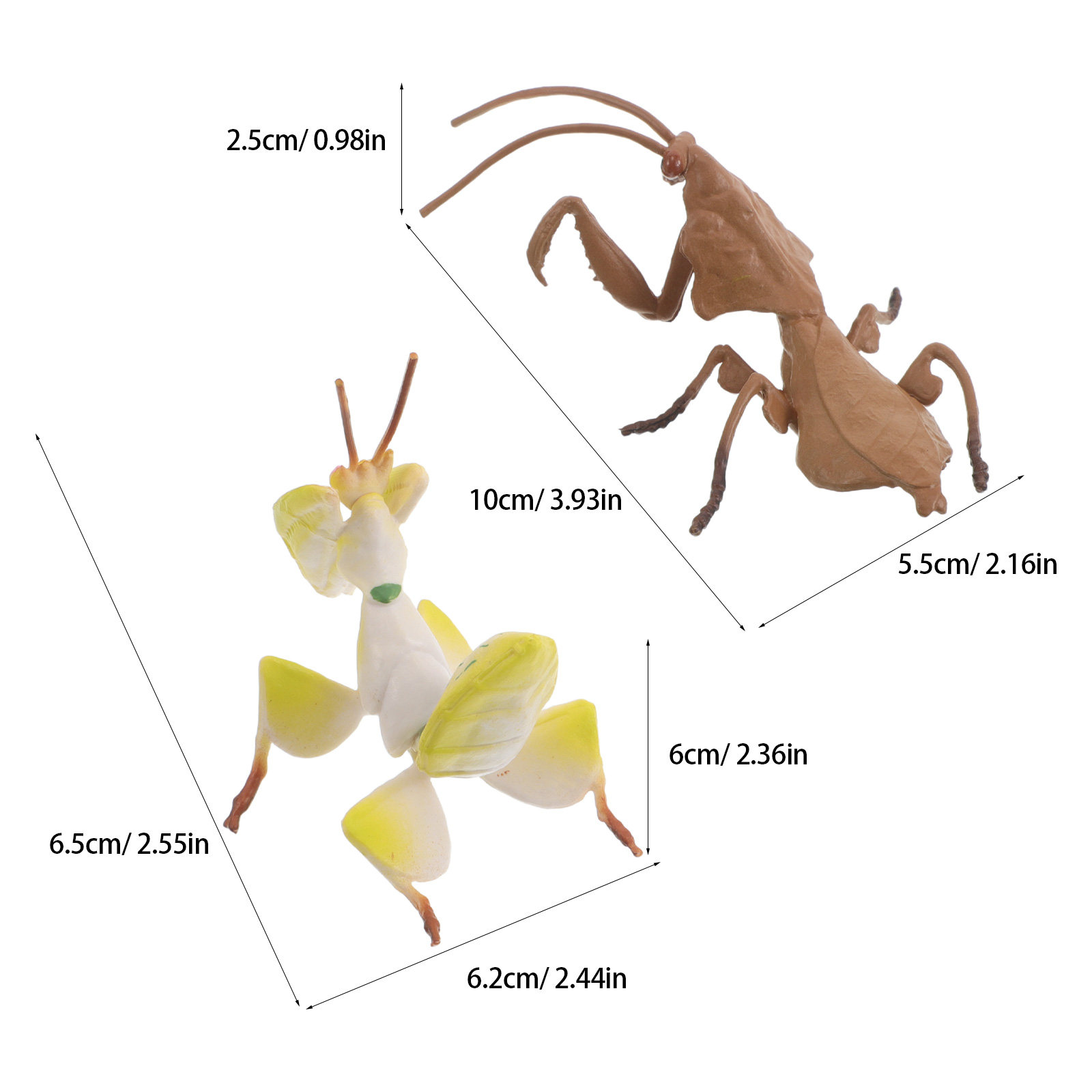 Realistic Praying Mantis Model - Science Toy review and price