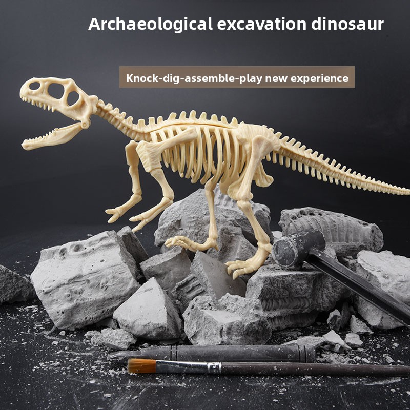 Dinosaur Fossil Excavation Kit - Science Toy review and price