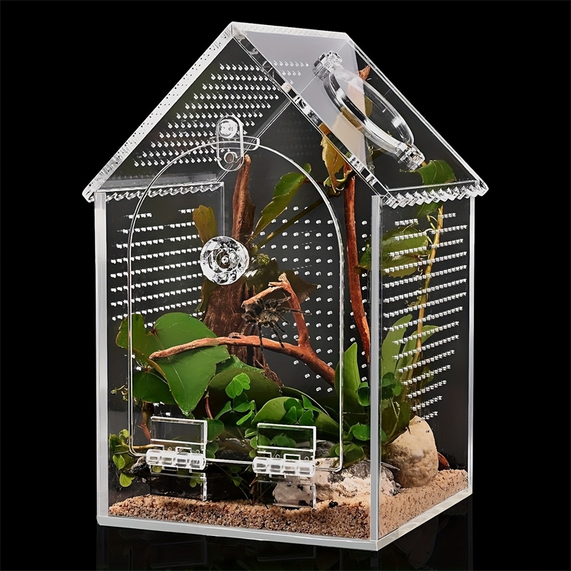 Transparent Acrylic House Inse - Science Hobbyist review and price