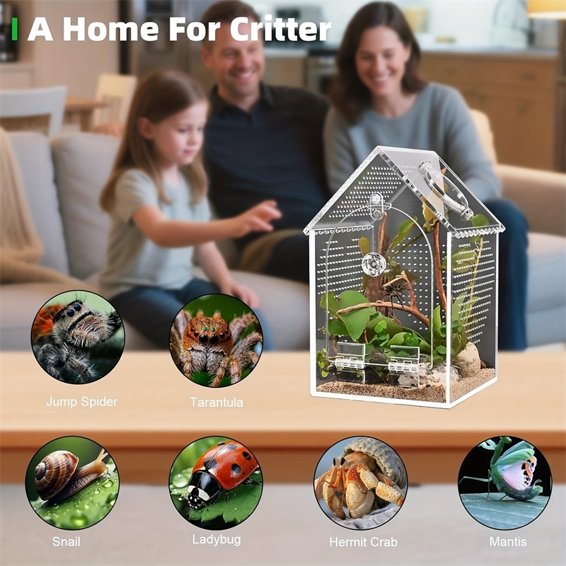 Transparent Acrylic House Inse - Science Hobbyist review and price